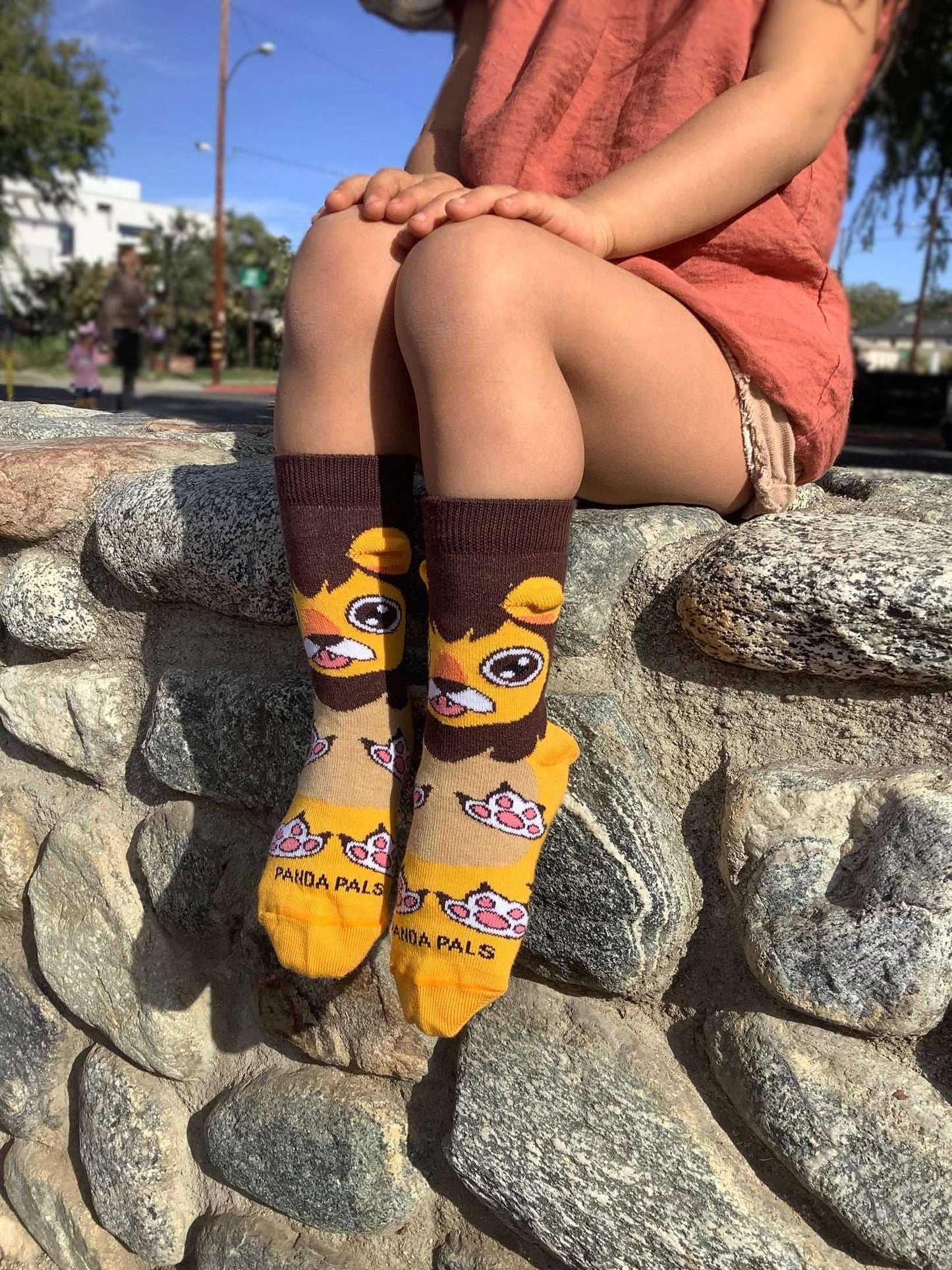 A Happy Lion Sock (Ages 3-5)