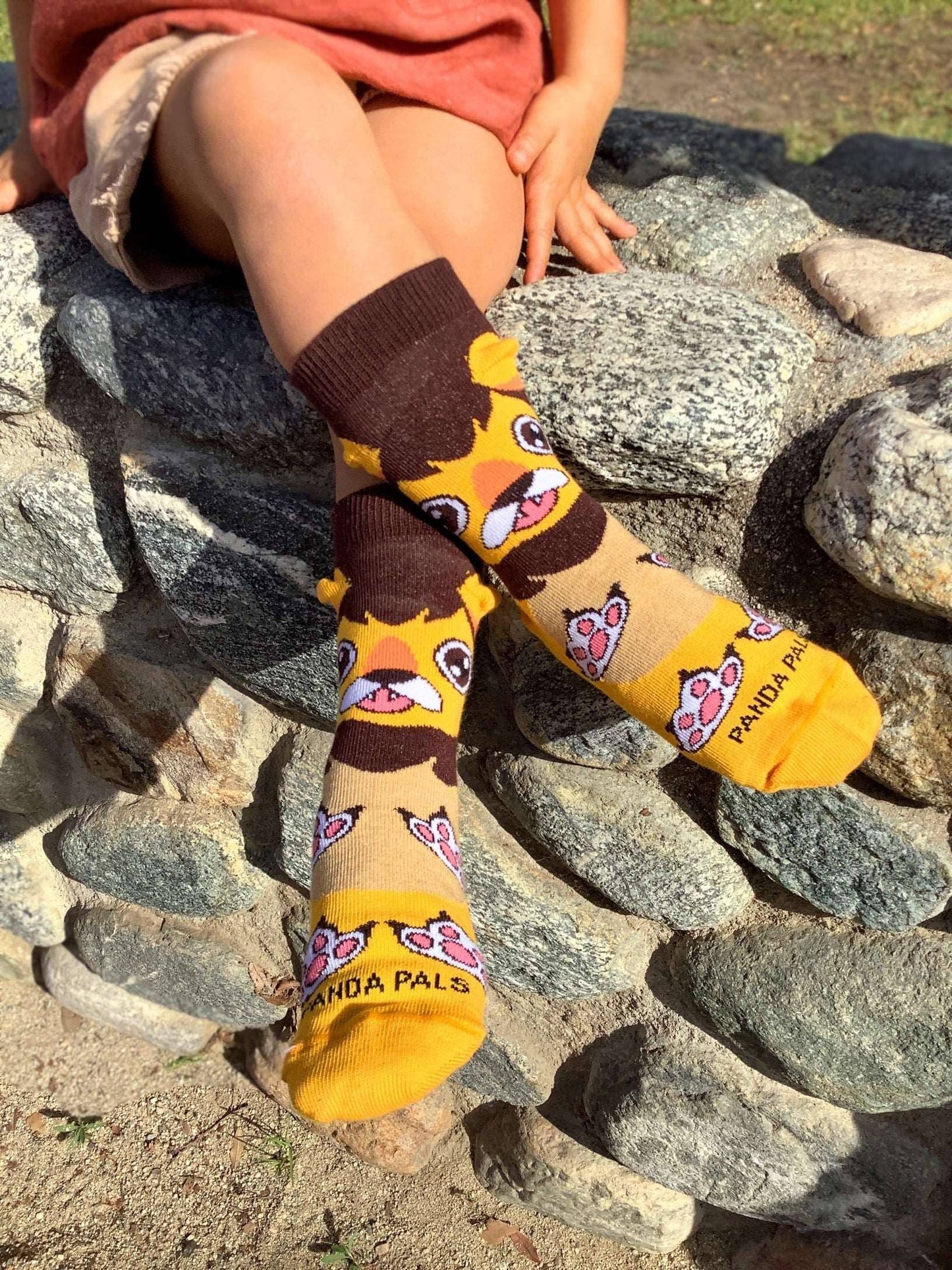 A Happy Lion Sock (Ages 3-5)